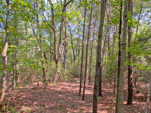 Dahlonega acreage for sale